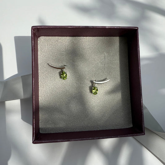 Pair of silver earrings in a jewelry box 