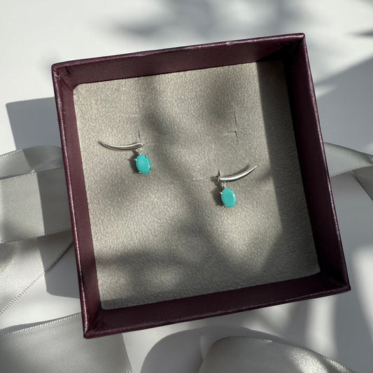 Pair of silver earrings with turquoise stones in a jewelry box 